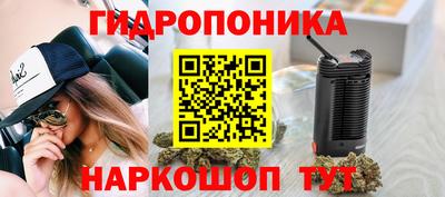 MDMA Новозыбков