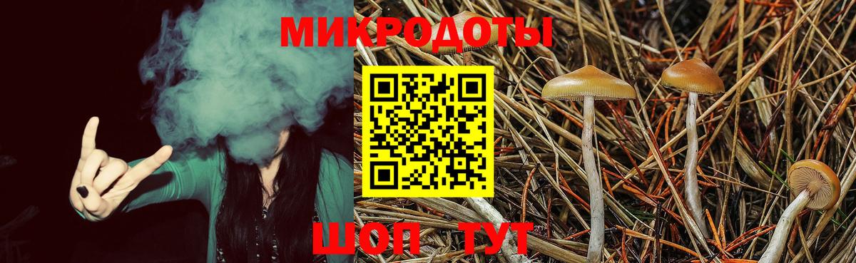 купить наркотики цена  Галлюциногенные грибы Psilocybine cubensis  Вход с VPN  Сызрань 